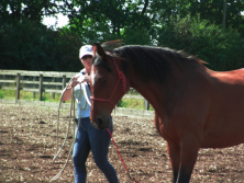 horsemanship clinic with Garry Stevens
