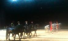 Horses friesian and Andalucian
